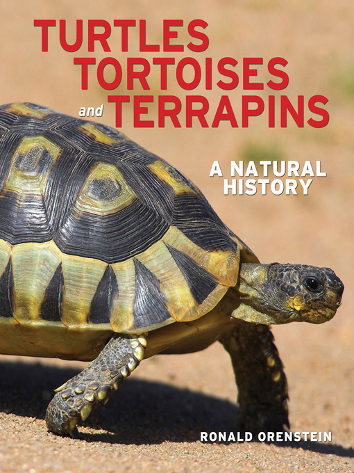Title details for Turtles, Tortoises and Terrapins by Ronald Orenstein - Available